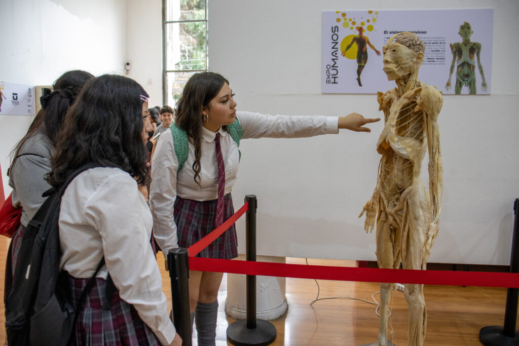 Jóvenes PACE UTalca exploran ciencia, arte y naturaleza en la UTalca